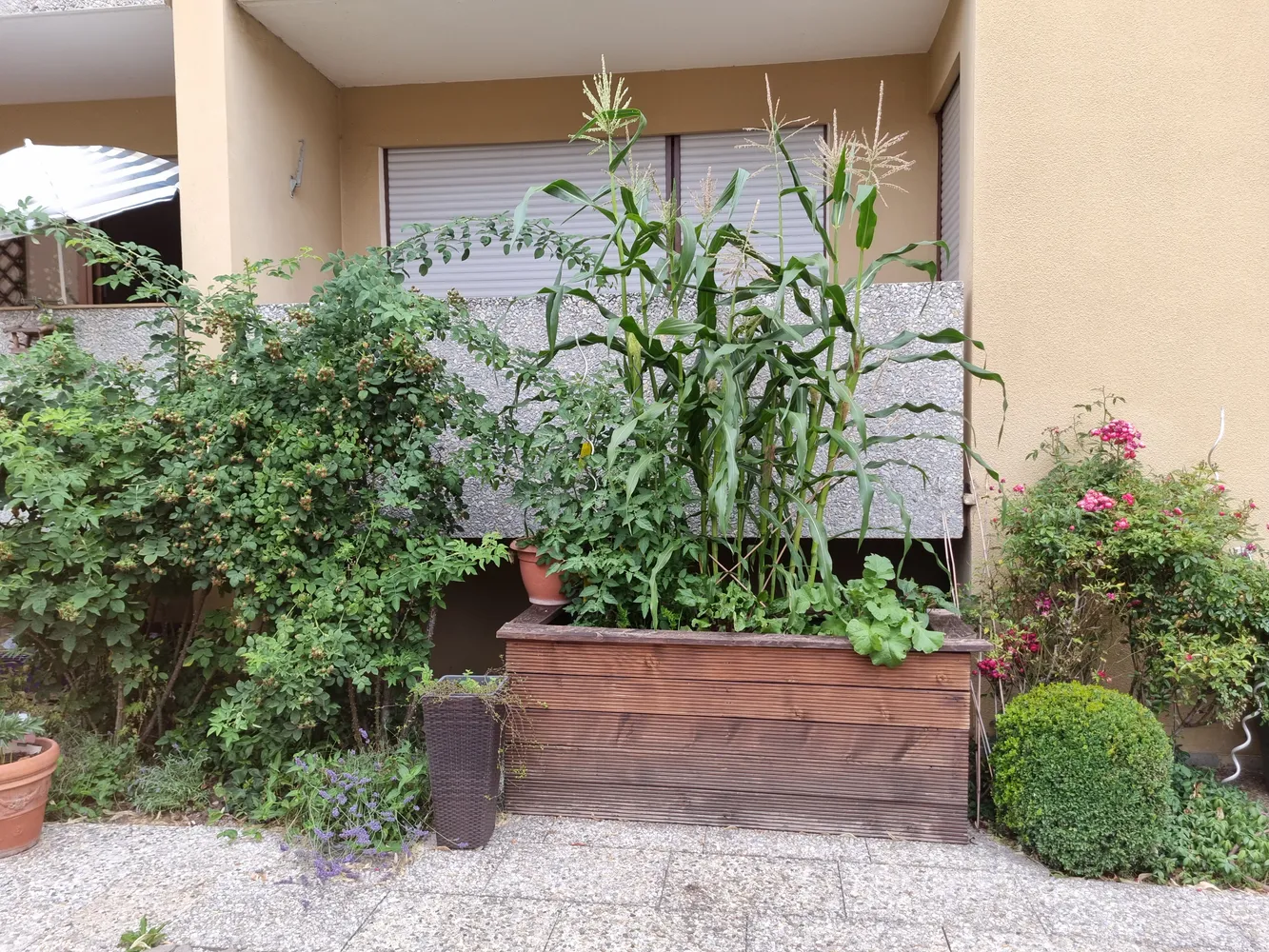 1 Zimmer Wohnung mit 30 m² in Nürnberg – Bild 12