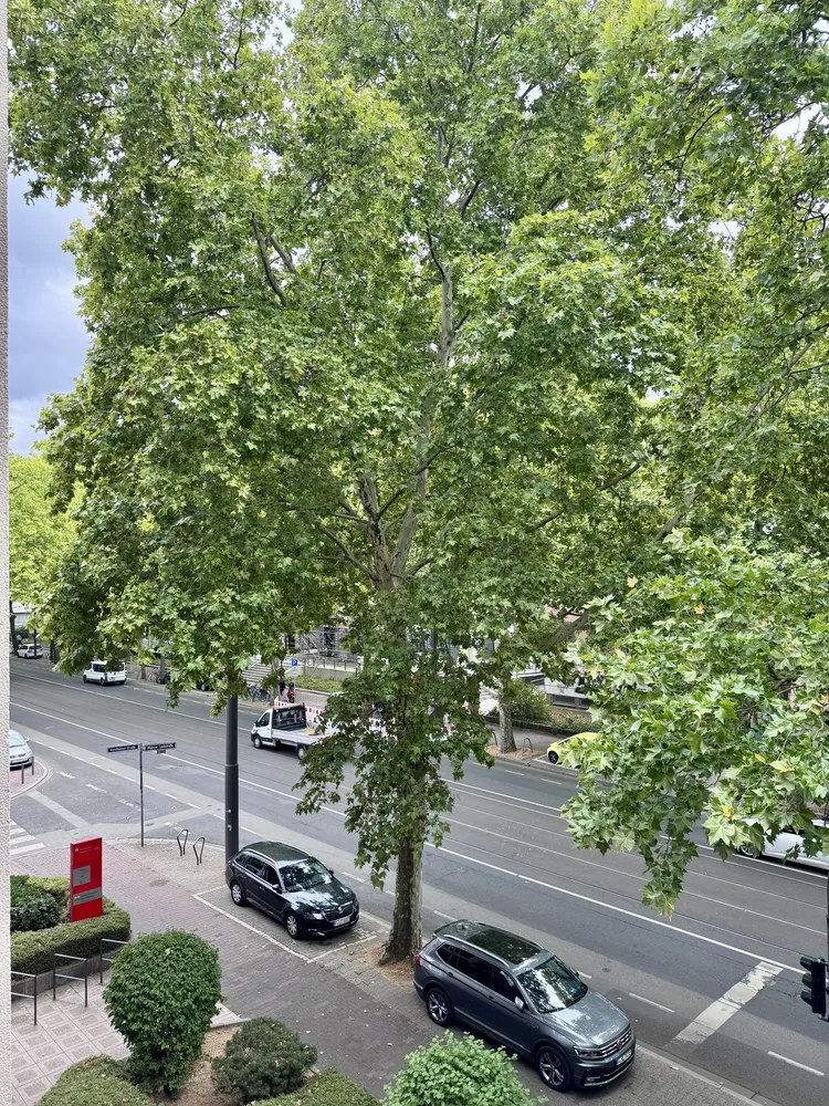 3 Zimmer Wohnung mit 116 m² in Frankfurt am Main – Bild 5