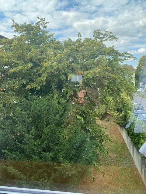 3 Zimmer Wohnung mit 75 m² in Bonn – Bild 7