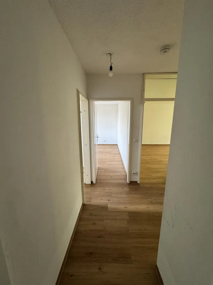 3 room apartment with 75 m² in Darmstadt – Photo 2