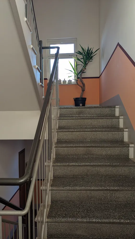 4 Zimmer Wohnung mit 60 m² in Halle (Saale) – Bild 4