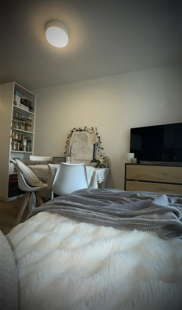 1 Zimmer Wohnung mit 19 m² in Hamburg – Bild 1