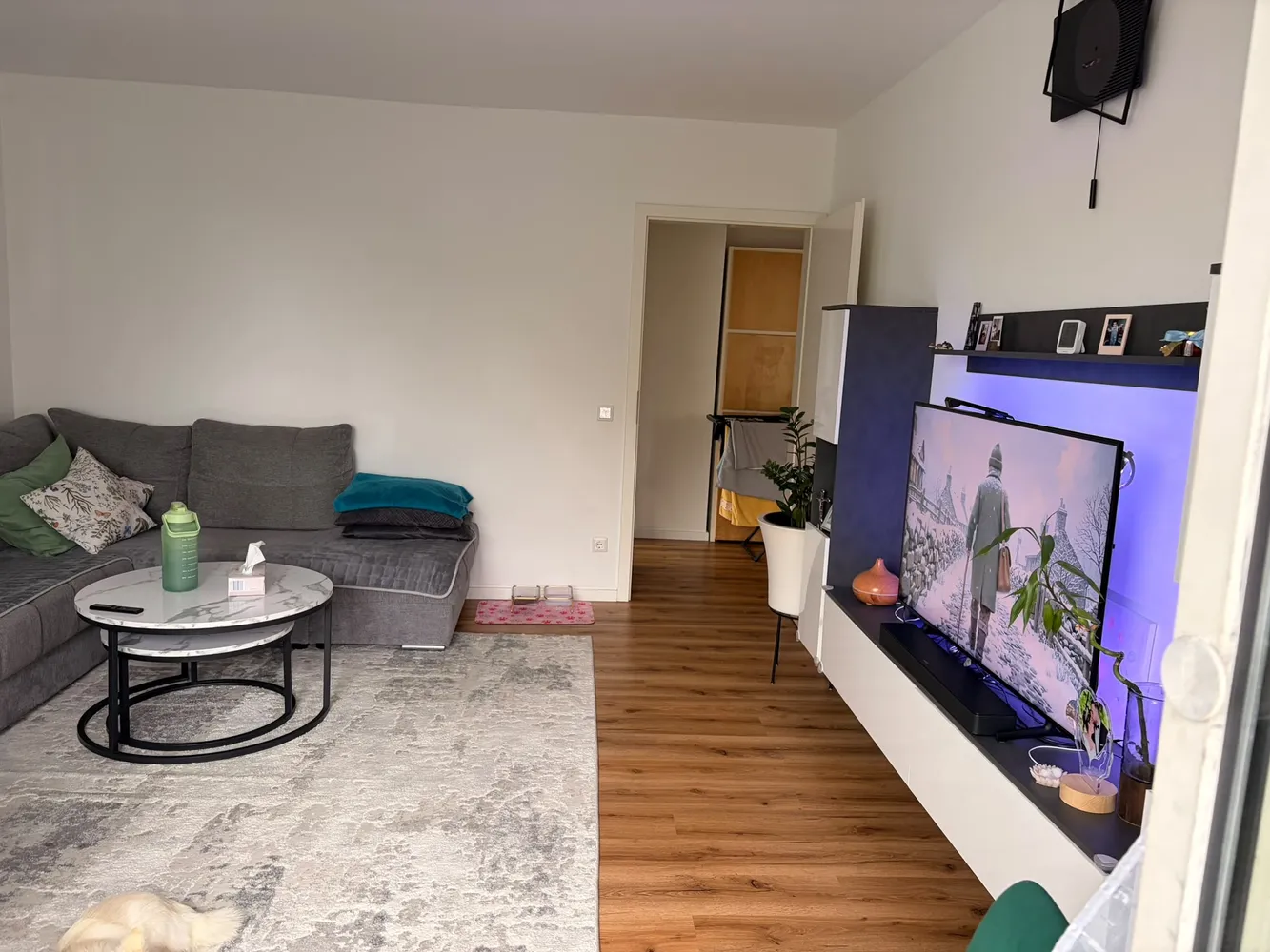 2 room apartment with 60 m² in Mainz – Photo 4