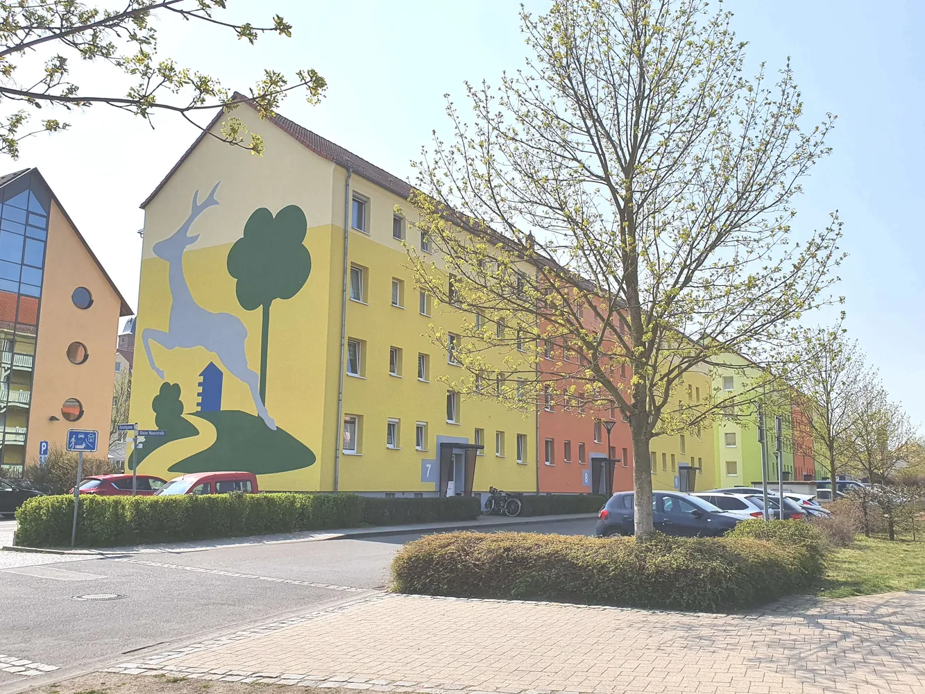 3 room apartment with 61 m² in Eilenburg – Photo 5