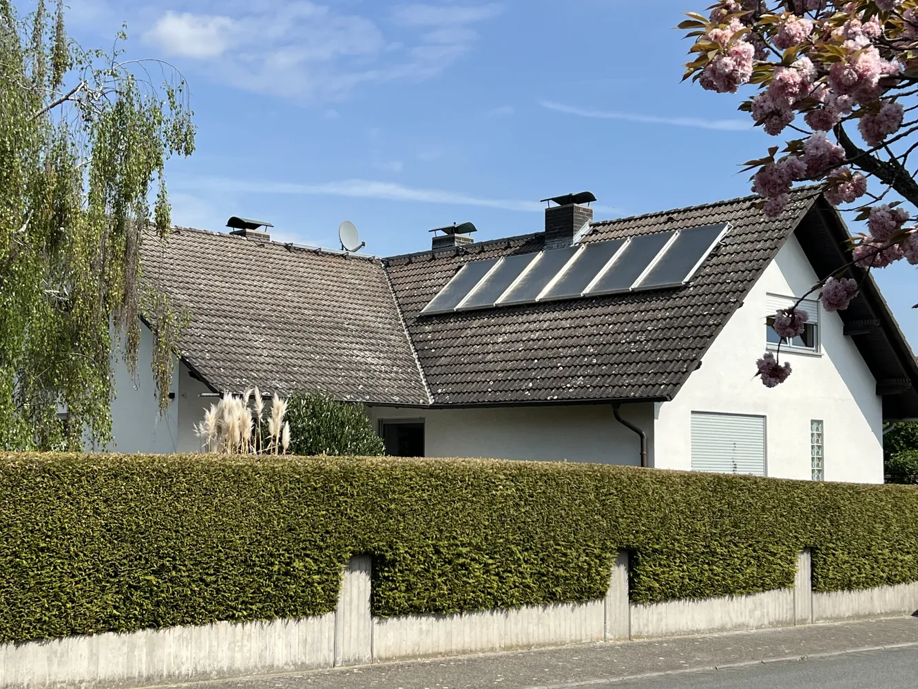 7 Zimmer Haus mit 245 m² in Mainz – Bild 2