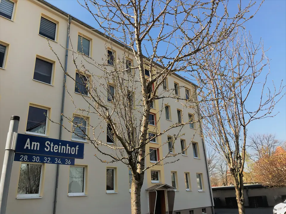 3 Zimmer Wohnung mit 60 m² in Wurzen – Bild 4