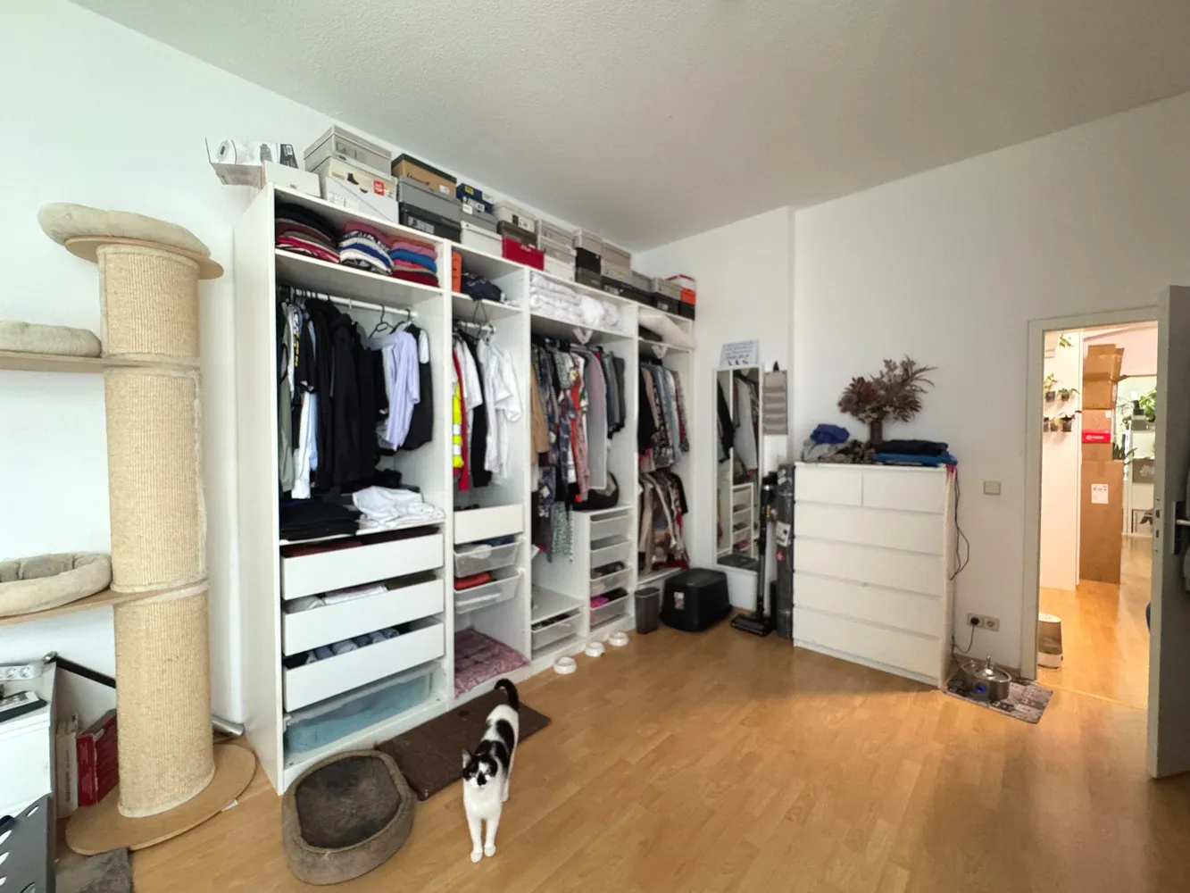 3 room apartment with 111 m² in Magdeburg – Photo 9