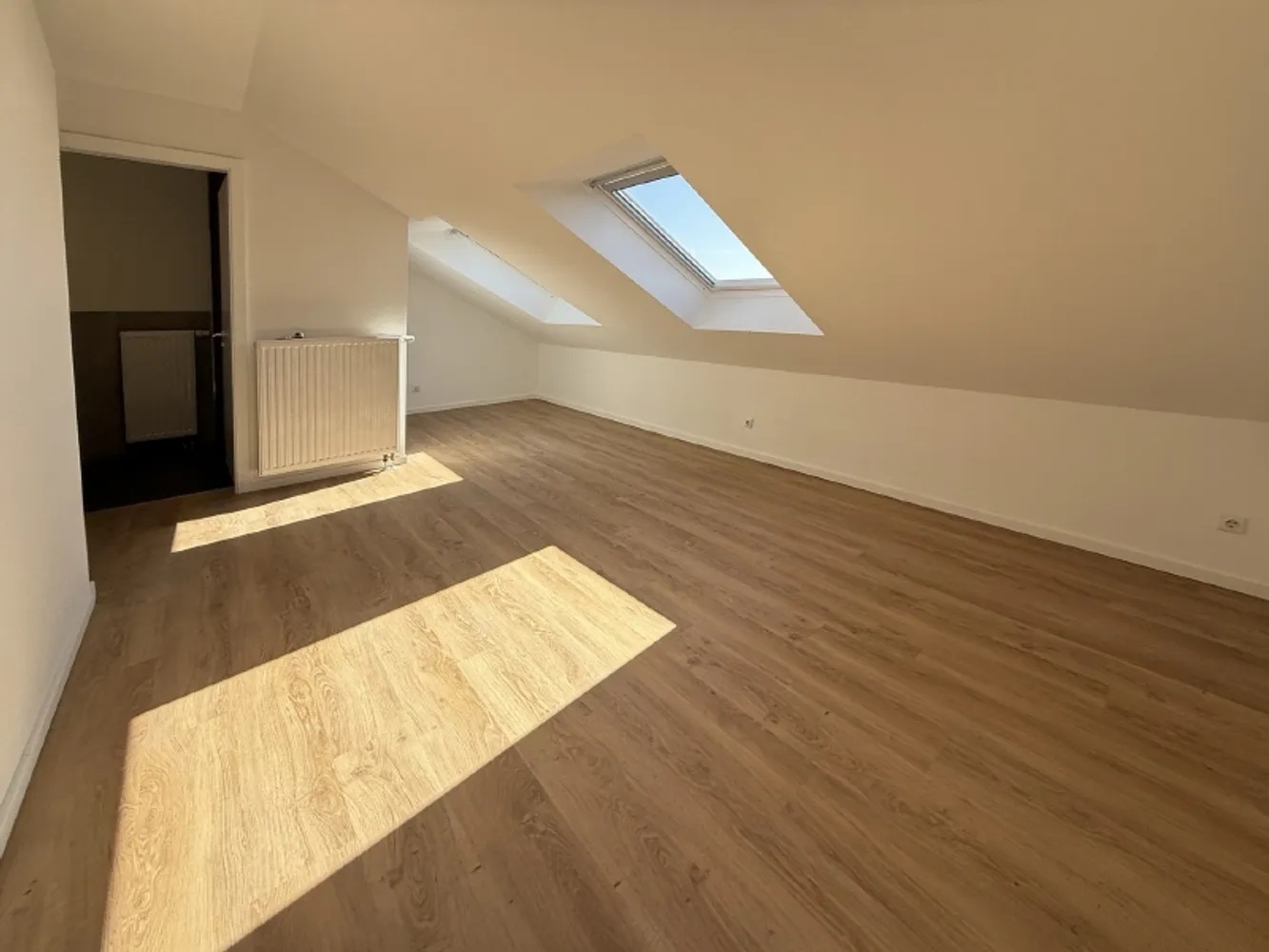 2 Zimmer Wohnung mit 56 m² in Dresden – Bild 5