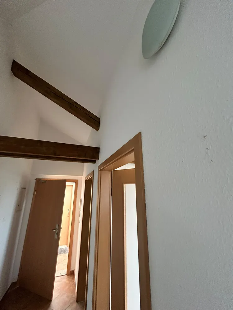 1 Zimmer Wohnung mit 37 m² in Dresden – Bild 3