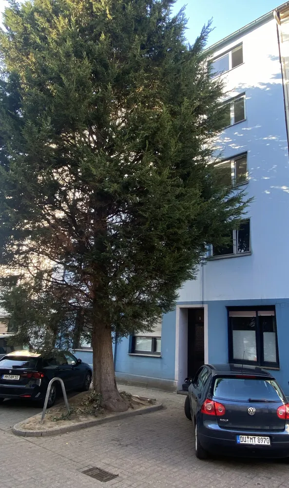 3 Zimmer Wohnung mit 60 m² in Duisburg – Bild 1
