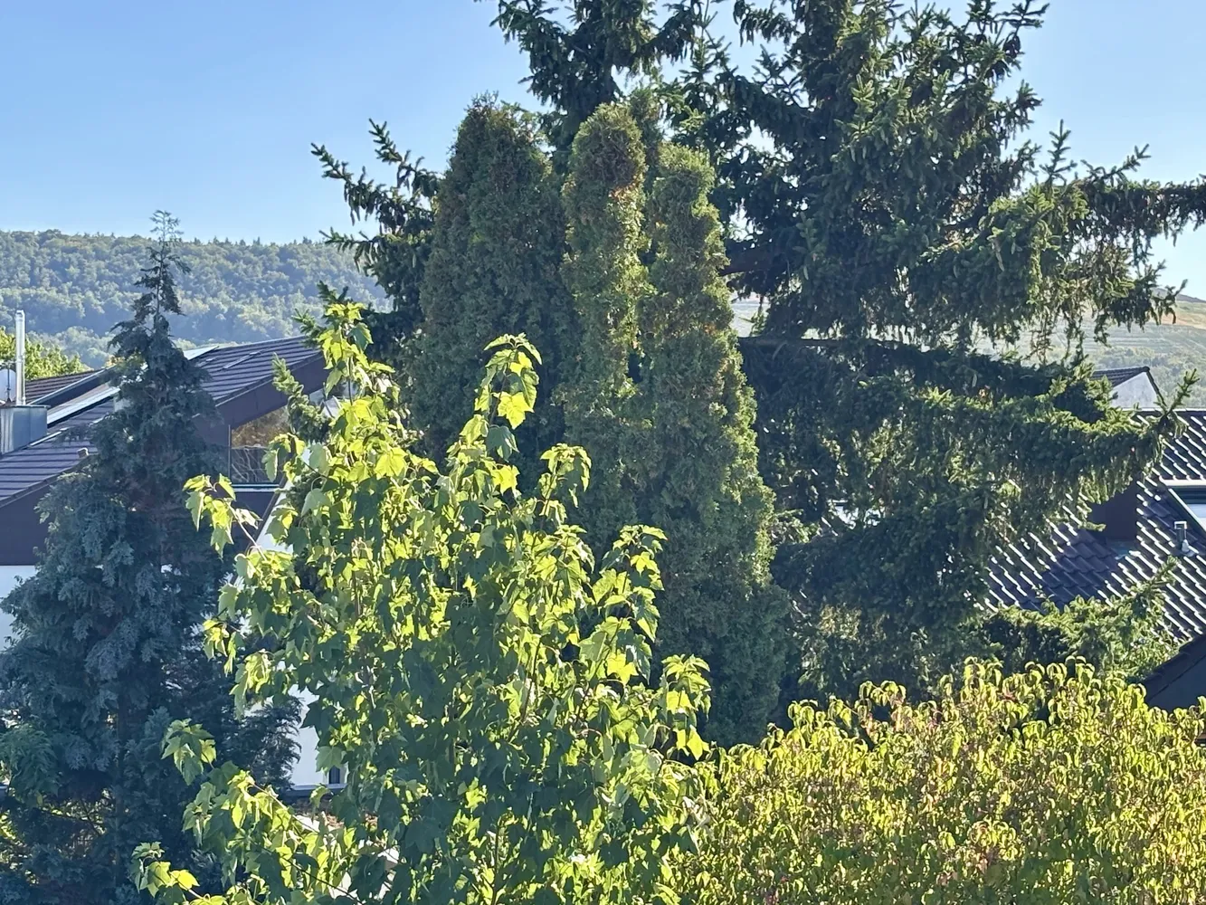 5 Zimmer Haus mit 230 m² in Leonberg – Bild 3