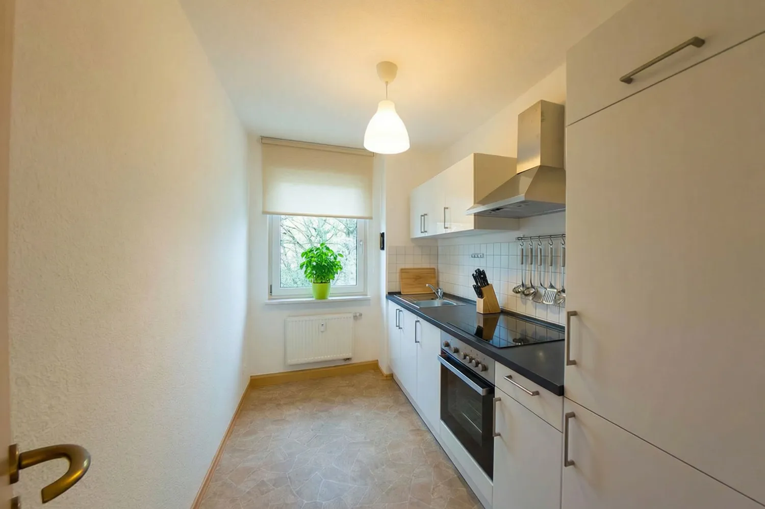 2 room apartment with 50 m² in Chemnitz – Photo 8