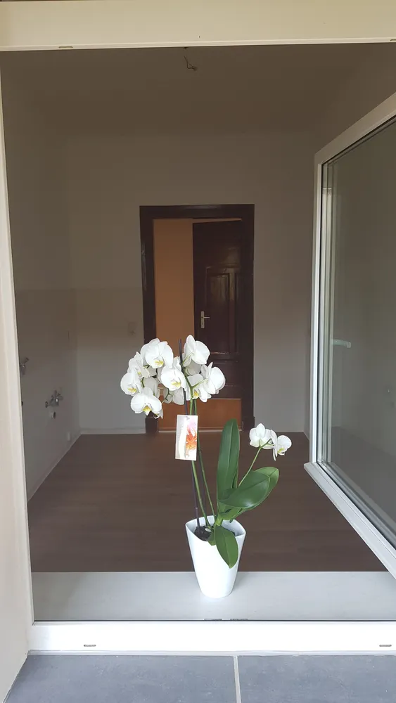 2 Zimmer Wohnung mit 57 m² in Leipzig – Bild 6