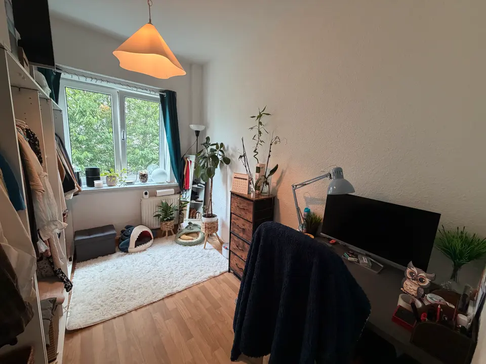 3 Zimmer Wohnung mit 59 m² in Dresden – Bild 4