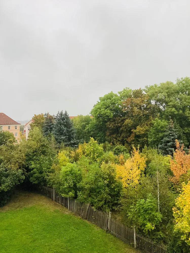 2 room apartment with 51 m² in Zeitz – Photo 7