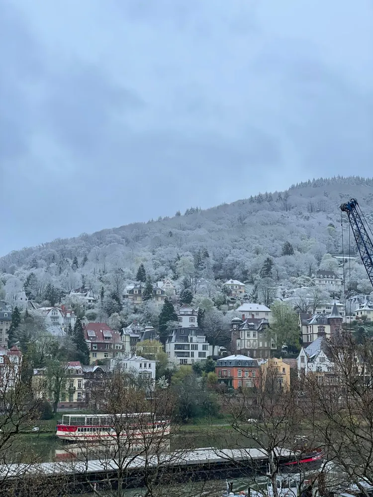 6 Zimmer Wohnung mit 180 m² in Heidelberg – Bild 5