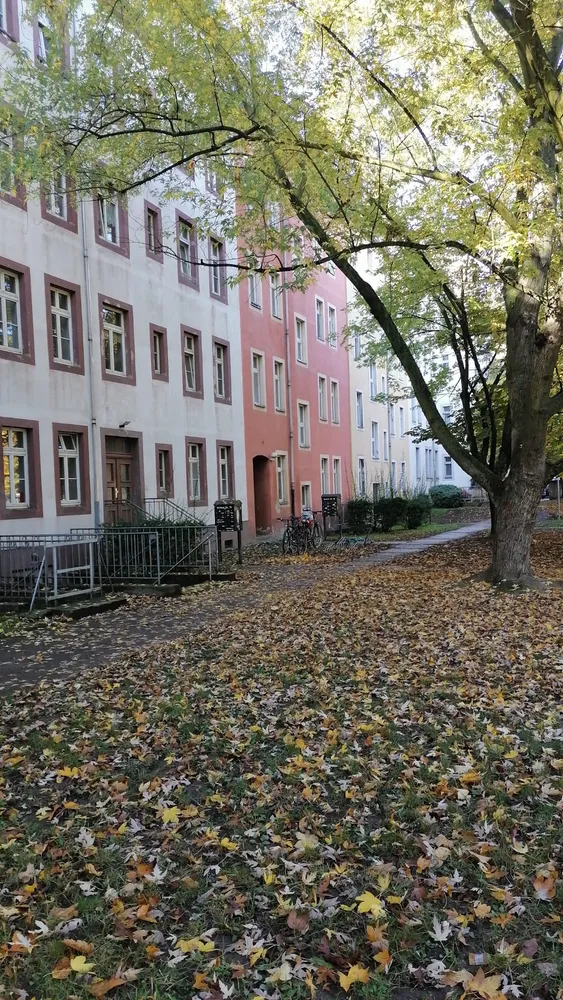 2 Zimmer Wohnung mit 48 m² in Dresden – Bild 8