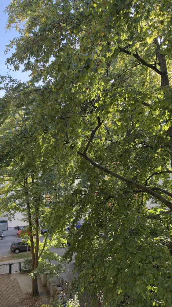 3 Zimmer Wohnung mit 75 m² in München – Bild 9