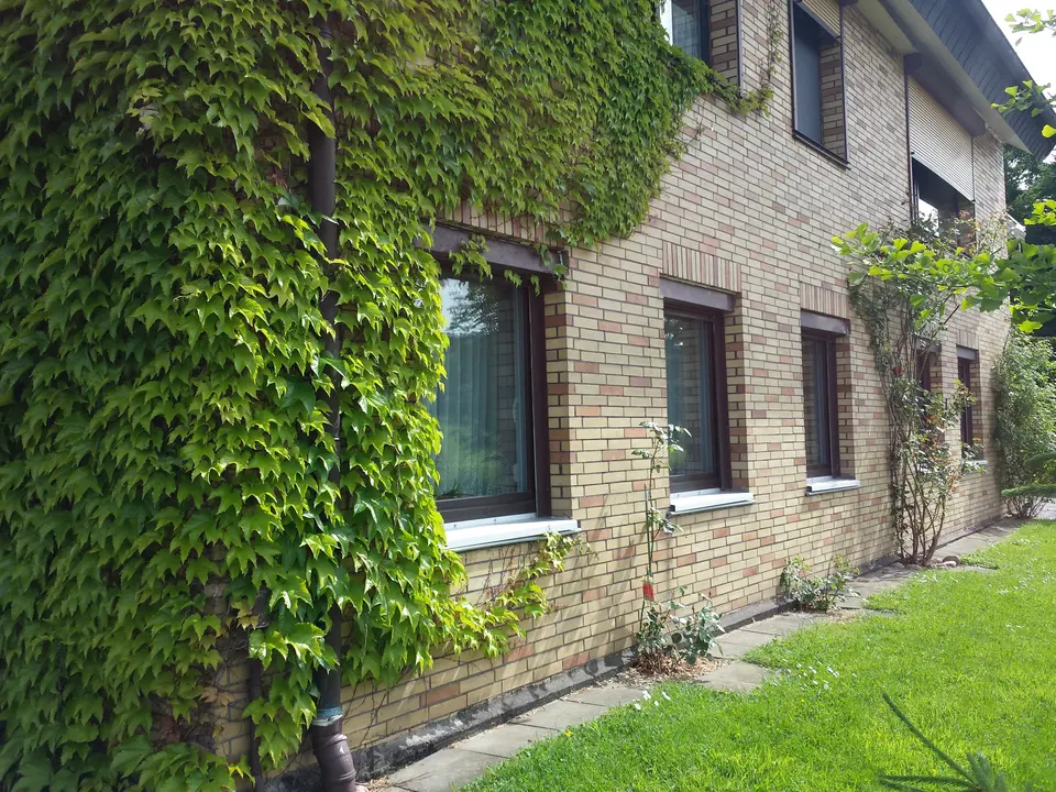 3 Zimmer Wohnung mit 60 m² in Göttingen – Bild 3